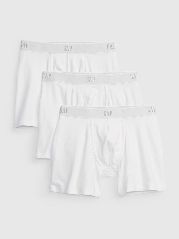 5" Organic Stretch Cotton Boxer Briefs (3-Pack)