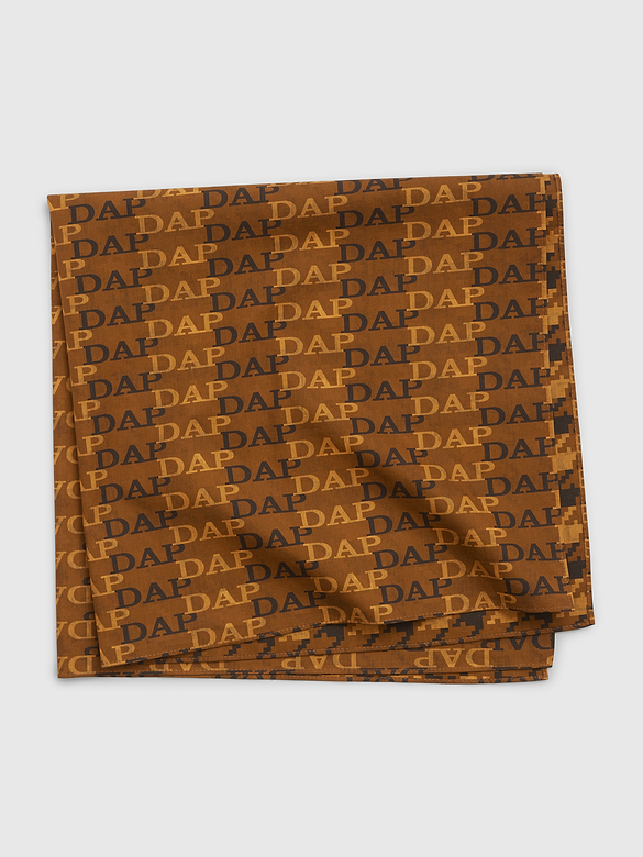 GAP × DAP Logo Scarf