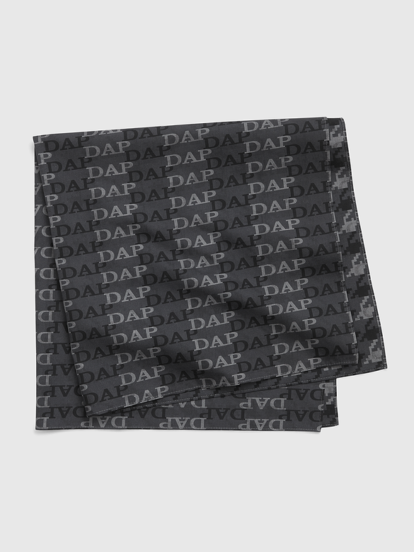 GAP × DAP Logo Scarf