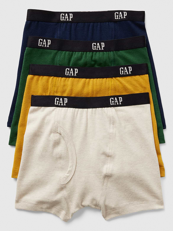Toddler Boxer Briefs (4-Pack)