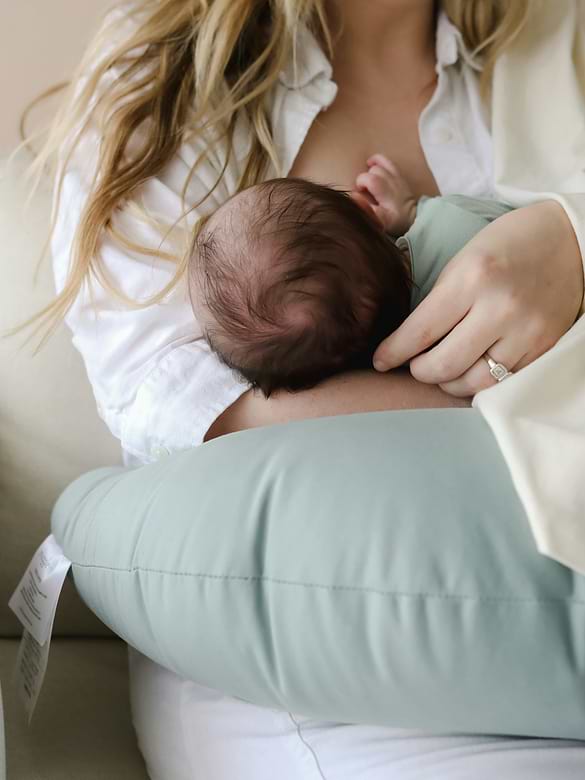 Snuggle Me Feeding Support