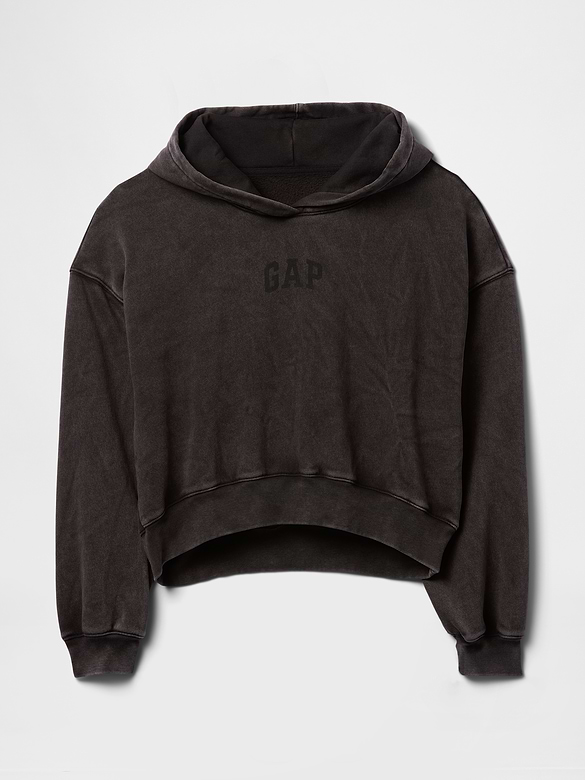 VintageSoft Crop Logo Hoodie