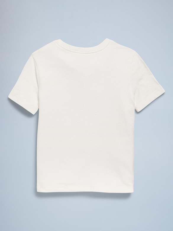 Birthday Graphic T-Shirt for Toddler Girls
