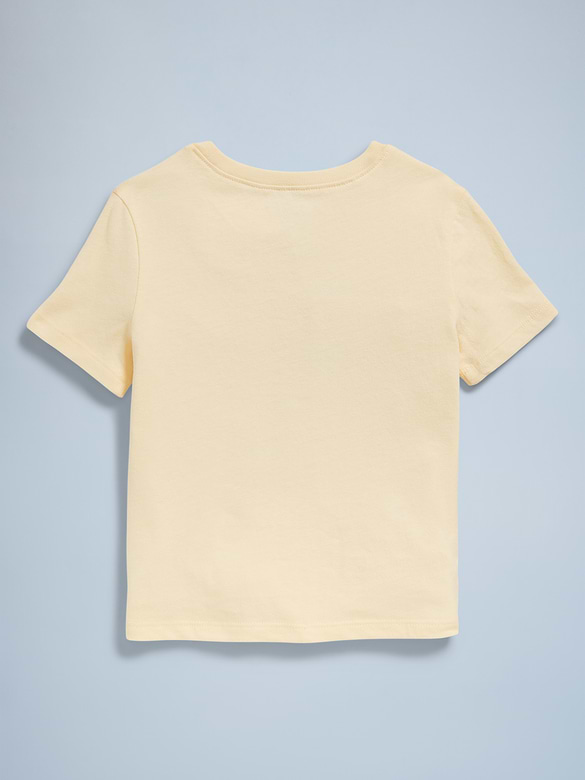 Birthday Graphic T-Shirt for Toddler Girls