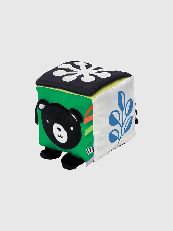 Wimmer Discovery Cube