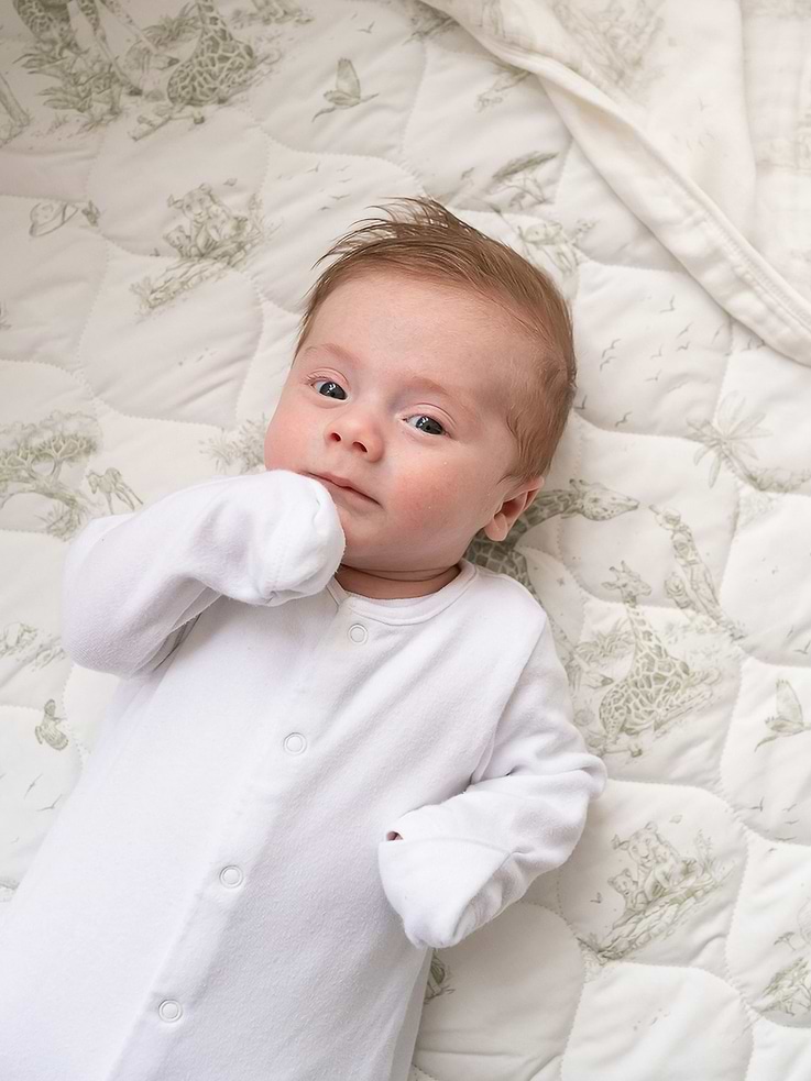 Image number 4 showing, The Gilded Bird Safari Toile Quilted Playmat