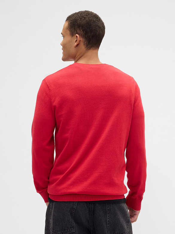 Crewneck Sweater