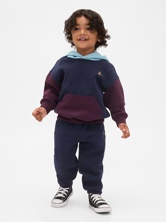 Baby & Toddler VintageSoft Colorblock Hoodie Set