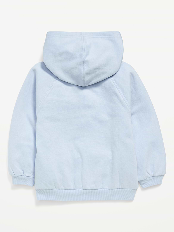 Licensed Graphic Pullover Hoodie for Toddler Girls