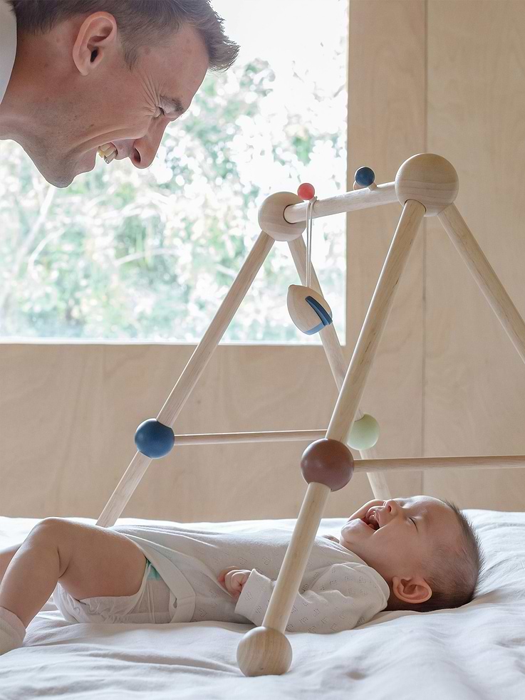 Image 3 of 4, Play Gym