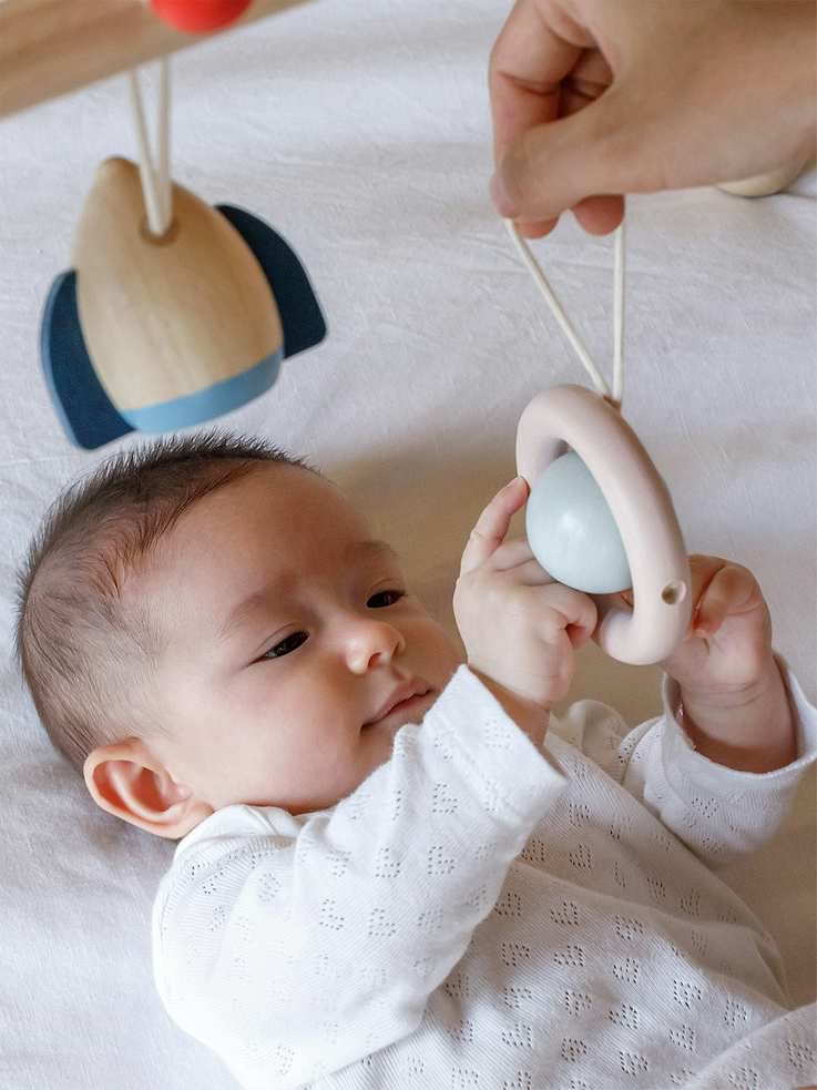 Image 4 of 4, Play Gym