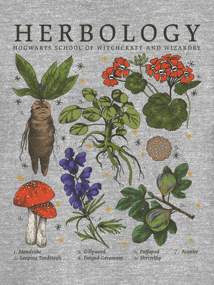Image number 2 showing, Harry Potter Herbology Graphic T-Shirt