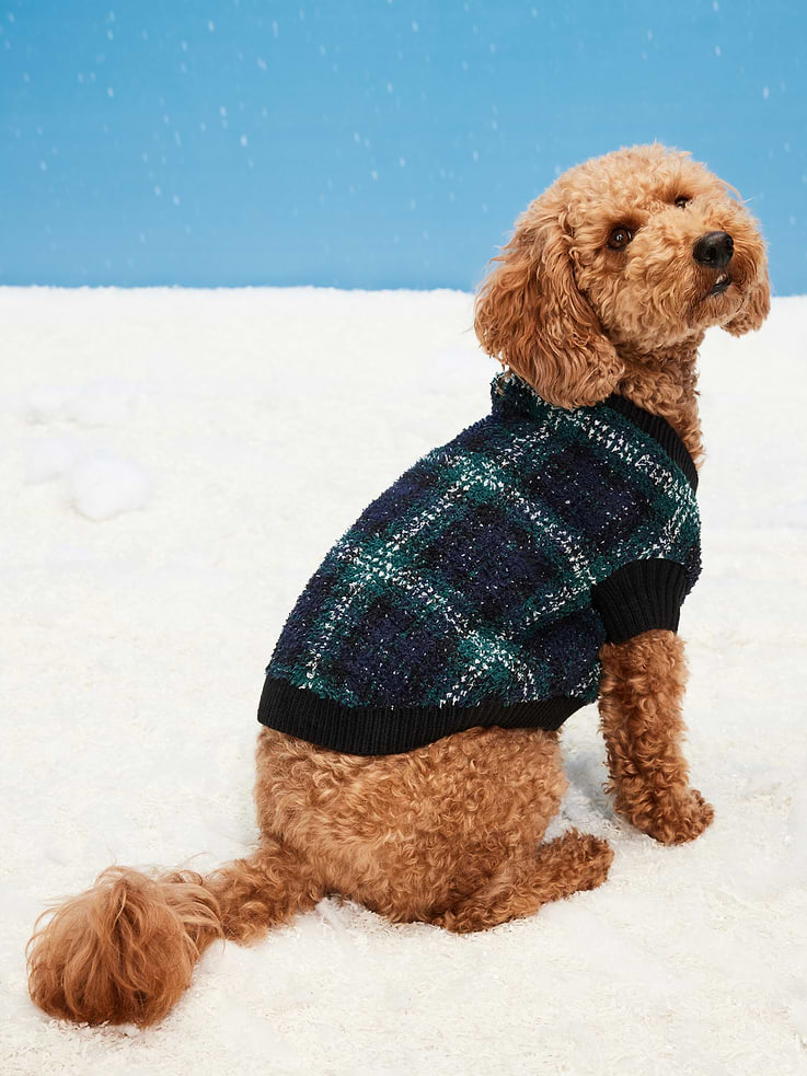 Image number 1 showing, Cozy Printed Sweater for Pets