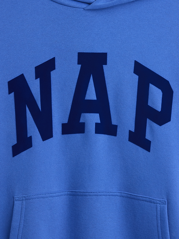 Adult VintageSoft NAP Logo Hoodie