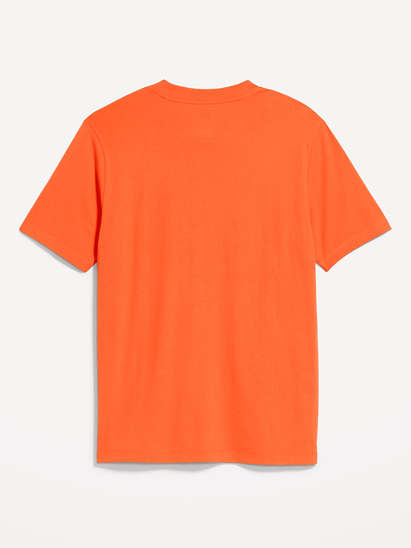 College T-Shirt for Adults