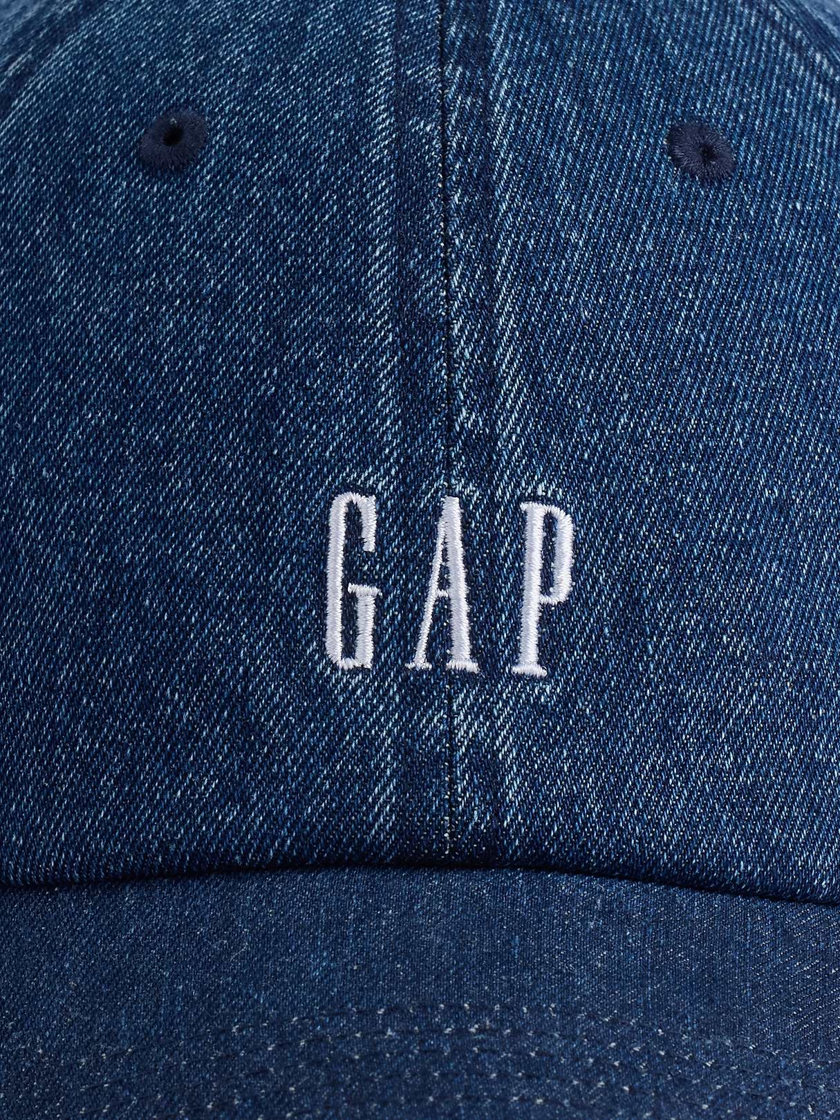 Adult Gap Logo Baseball Hat | Gap