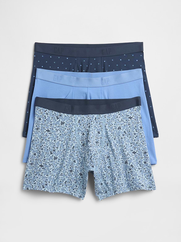 5" Boxer Briefs (3-Pack)