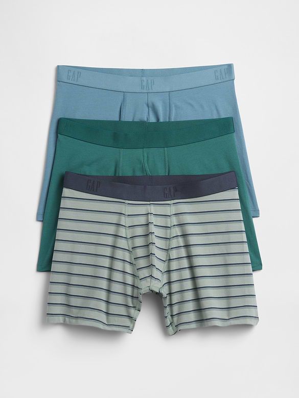 5" Boxer Briefs (3-Pack)