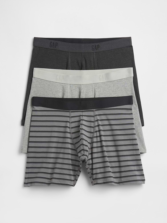5" Boxer Briefs (3-Pack)