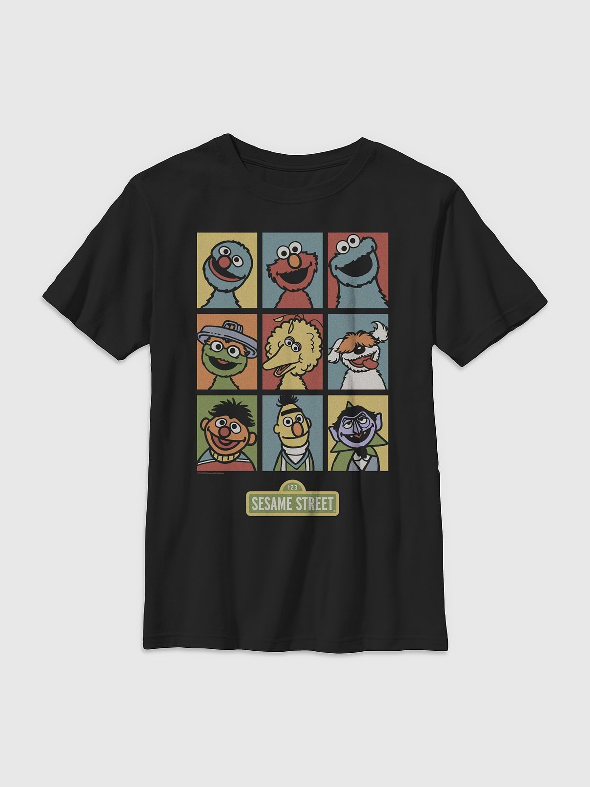 Image 1 of 4, Soft cotton T-shirt., Crewneck., Short sleeves., Officially licensed Sesame Street Graphic at front.