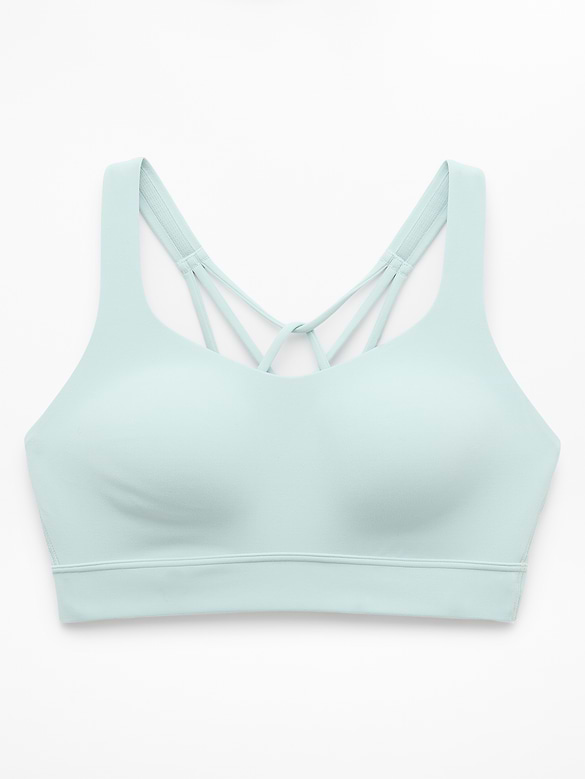 Perfect Form Sports Bra D-DD