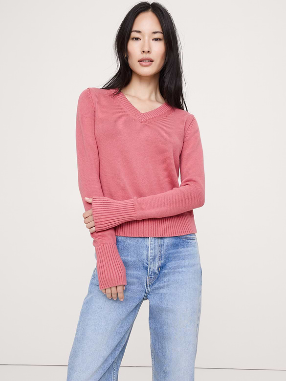 Larkspur Cotton-Silk V-Neck Sweater