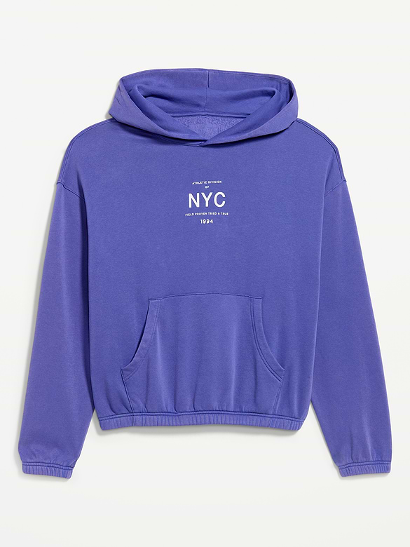 Lived-In Pro Hoodie