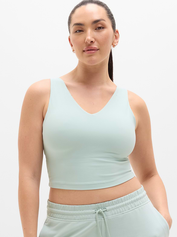 Transcend V-Neck Crop Sports Bra D-DD