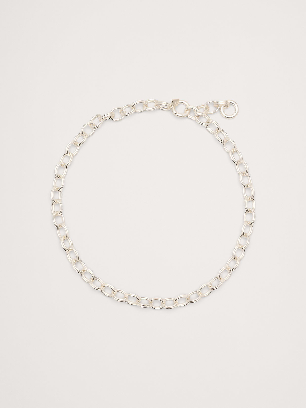 Double Oval Link Chain Necklace