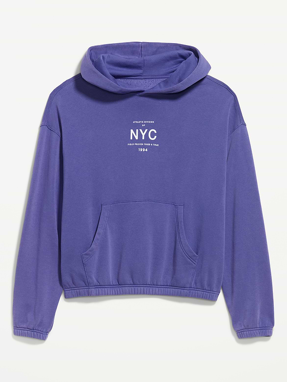 Lived-In Pro Hoodie