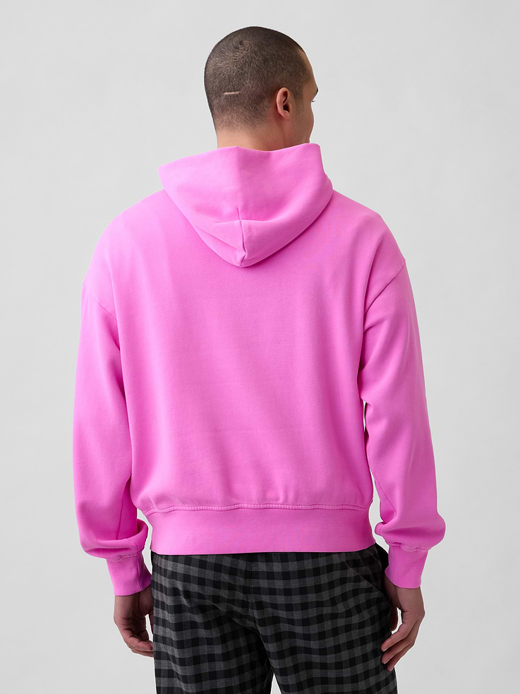 Image number 3 showing, Adult VintageSoft NAP Logo Hoodie