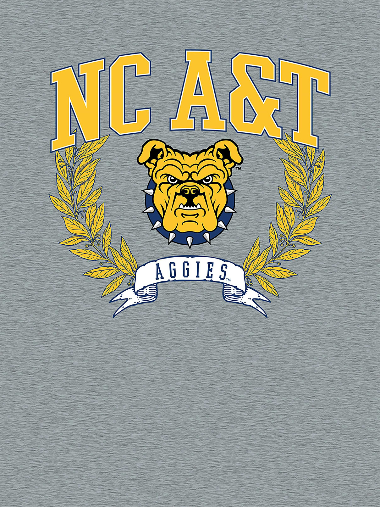 Image 2 of 4, North Carolina A-T State University Laurels Graphic T-Shirt for Boys
