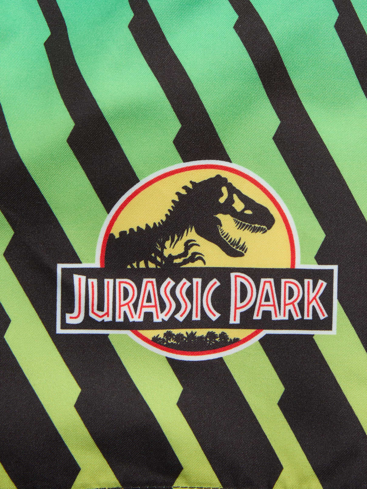 Image 3 of 3, Jurassic Park™ Swim Trunks for Toddler Boys