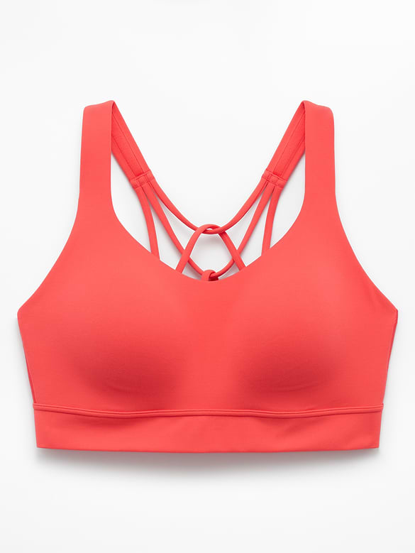 Perfect Form Sports Bra D-DD