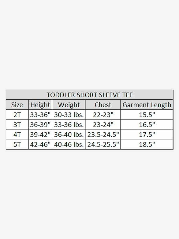 Peanuts Snoopy And Woodstock Have A Nice Day Short Sleeve Graphic T-Shirt For Toddler