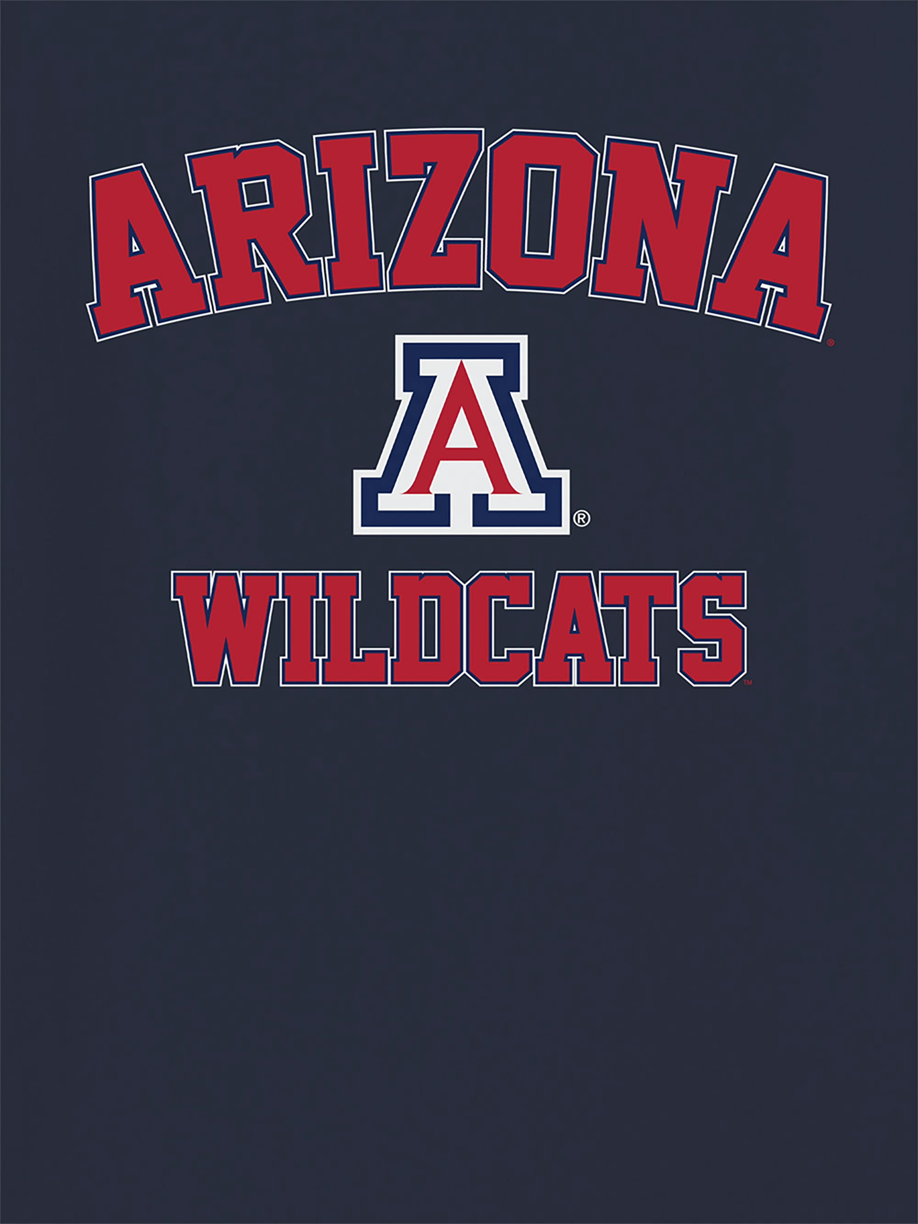 Image number 2 showing, The University of Arizona Campus Classic Graphic T-Shirt