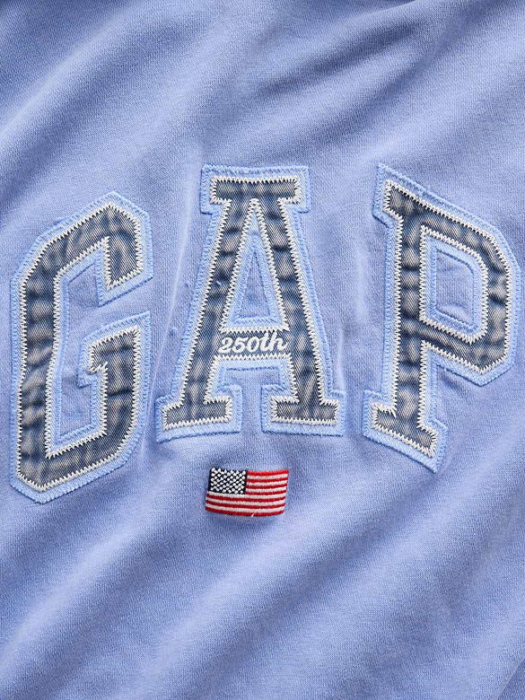 VintageSoft Oversized Americana Logo Hoodie