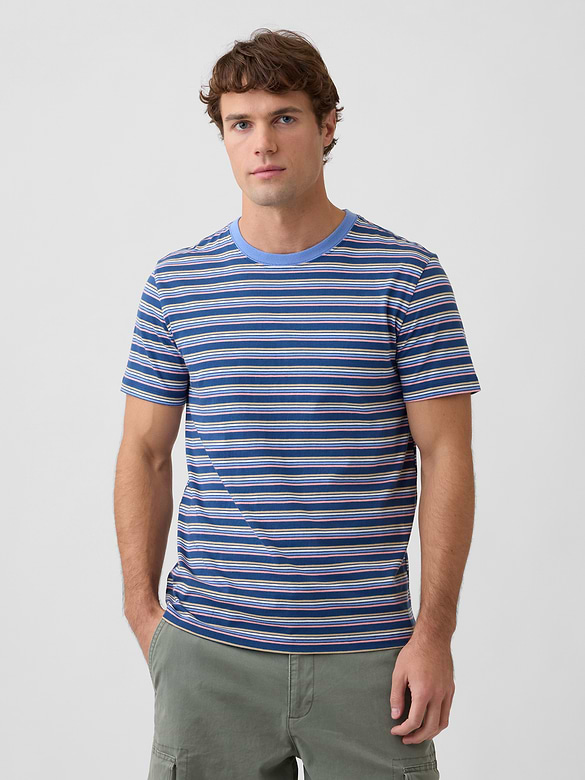 Everyday Soft Stripe Crewneck T-Shirt