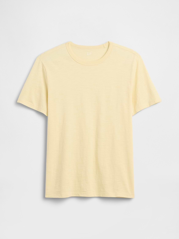 Lived-In Crewneck T-Shirt