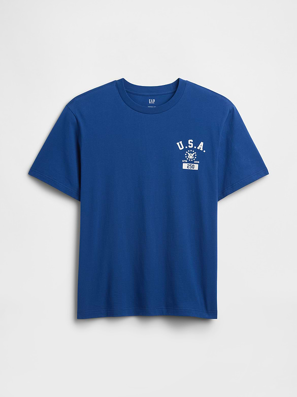 Everyday Soft Relaxed USA Graphic T-Shirt