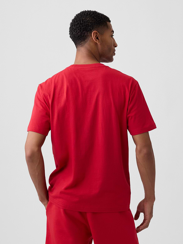 Adult NBA Chicago Bulls Relaxed Graphic T-Shirt