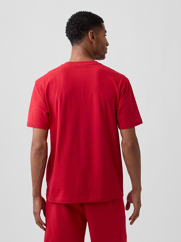Adult NBA Chicago Bulls Relaxed Graphic T-Shirt