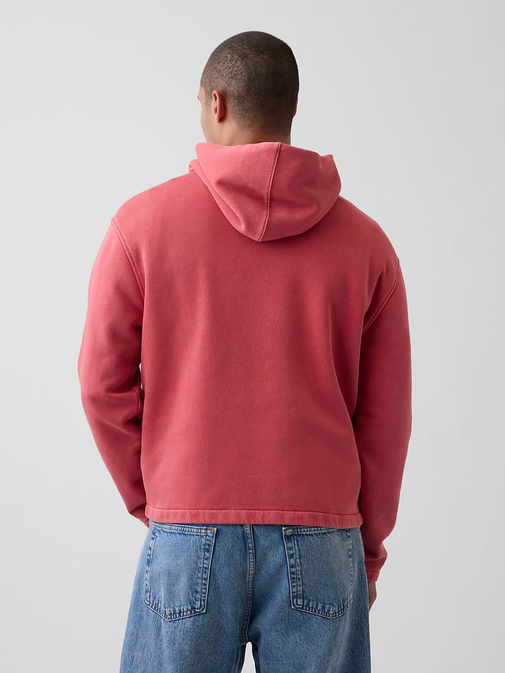 Image number 3 showing, VintageSoft Oversized Americana Logo Hoodie