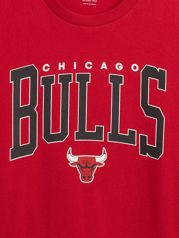 Adult NBA Chicago Bulls Relaxed Graphic T-Shirt