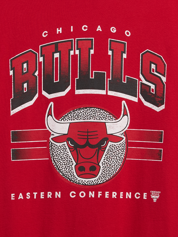 Adult NBA Chicago Bulls Relaxed Graphic T-Shirt