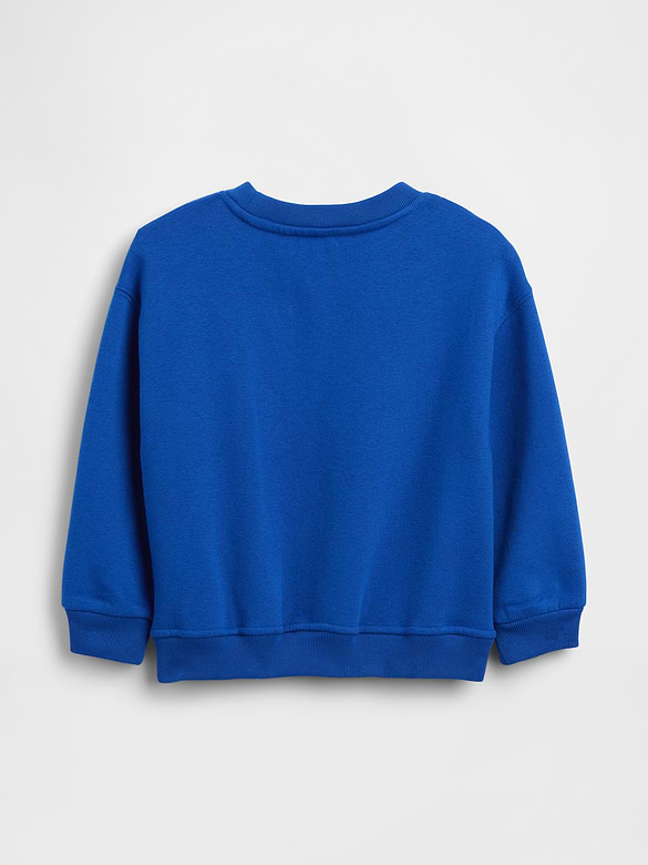 Baby & Toddler VintageSoft Sweatshirt