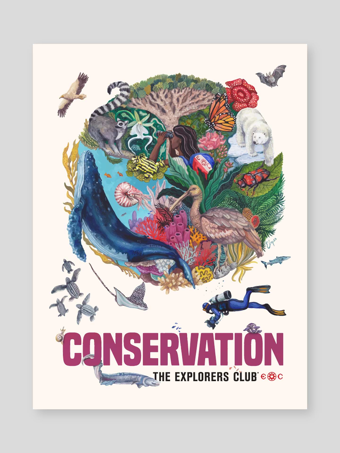 Image number 1 showing, The Explorers Club Conservation Poster