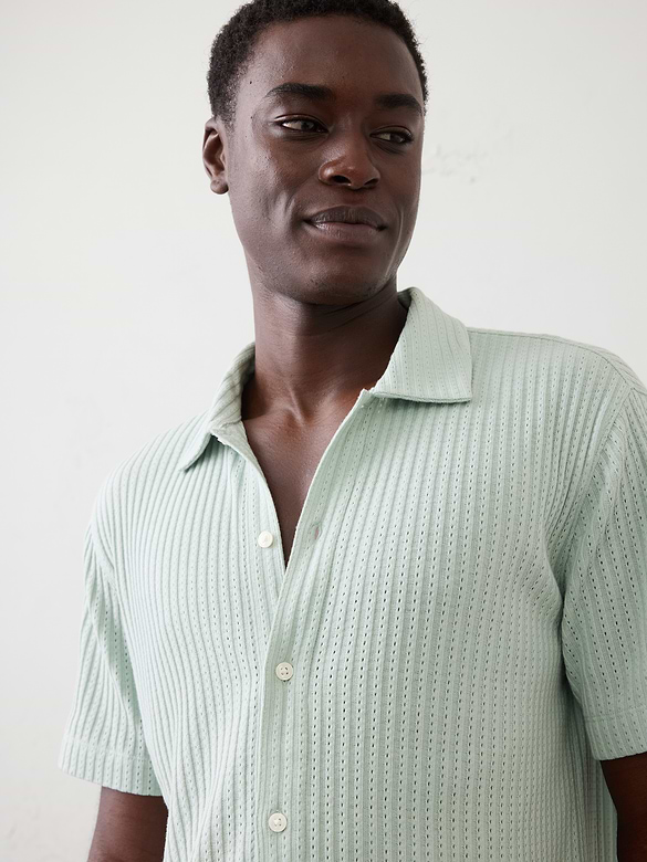 Standard-Fit Pointelle Button-Down Polo