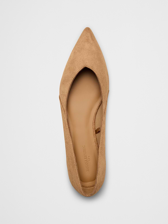 Point Toe Ballet Shoe