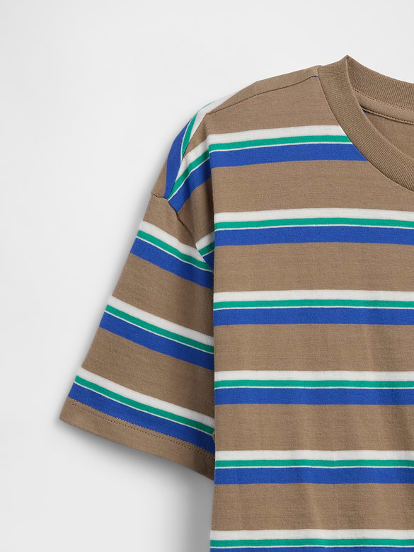 Kids Everyday Soft Relaxed Crewneck T-Shirt
